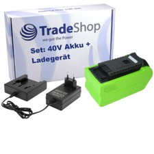 Set: Li-Ion Akku 40V 4000mAh +
