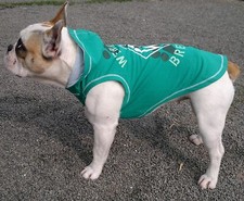 SV Werder Bremen Hundeshirt