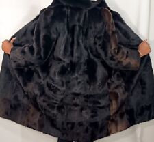 Echtpelz Arktischer Schakal