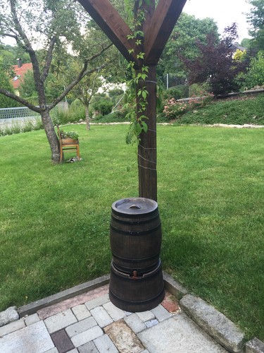 Regentonne weinfass optik - in,