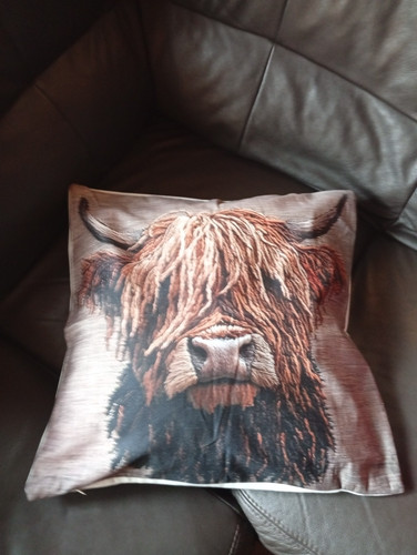 Highland kuh kissenbezug - kuh,