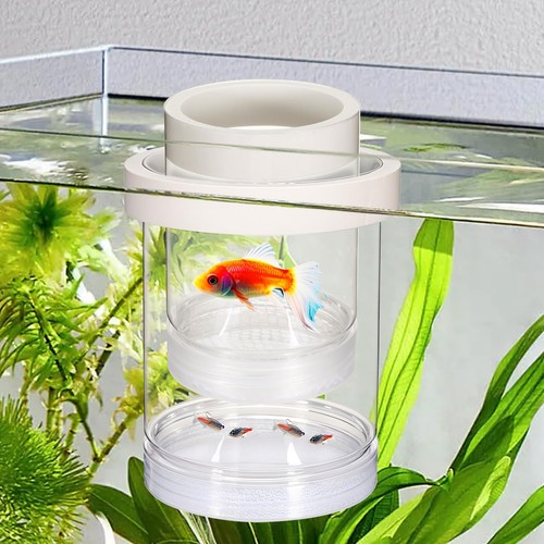 Aufzuchtbecken aquarium - aufzuchtbecken,