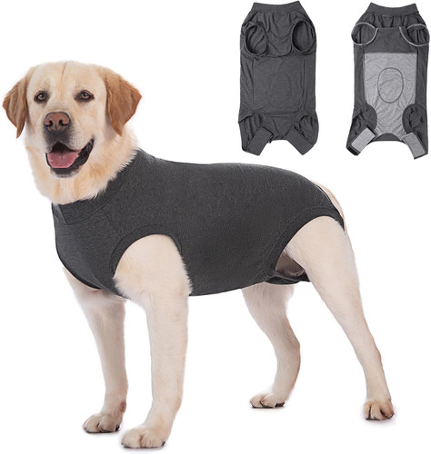 Hundebody nach leckschutz - hundebody,