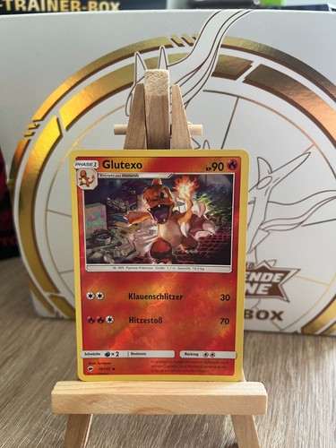 Charmeleon nacht in - charmeleon, (bus