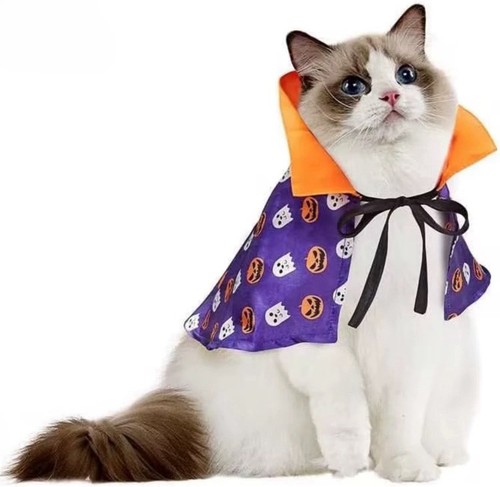 Katzen halloween kostüm - h,