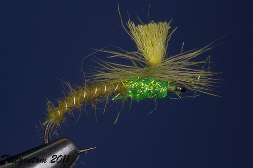 Fliegentom trockenfliege 3 - fliegentom,