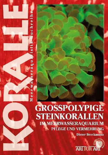 Großpolypige steinkorallen - großpolypige, |