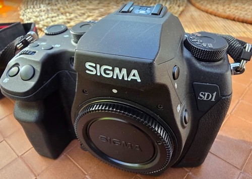 Rare sigma sd1 - sigma, neu