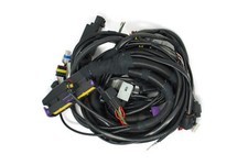 BRC Kabelbaum Holden Rodeo V6