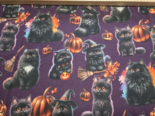 Jersey digitaldruck katze - jersey,