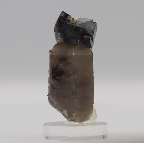 Fluorit auf rauchquarz - fluorit,