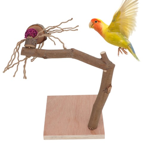 Vogel natur freisitz - natur,