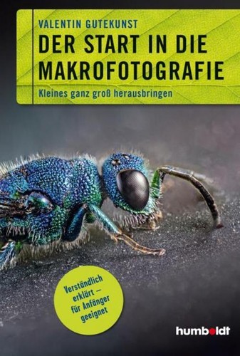 Der start die - der, in