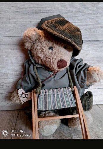 Teddybär mit outfit - teddybär,