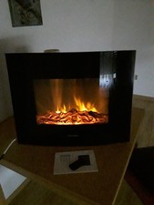 Elektrokamin Wandkamin Fa