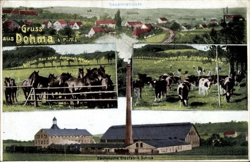 Dohma sachsen - ak, in