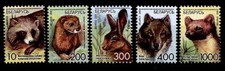 Marderhund, Nerz, Hase, Wolf, Baummarder. 5W. Weißrußland 2008