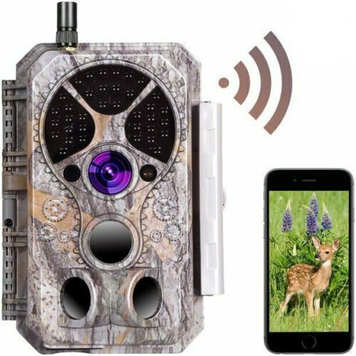 Blazevideo 32mp 1296p - 32mp,