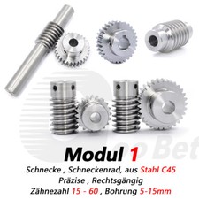 Schnecke Schneckenrad aus