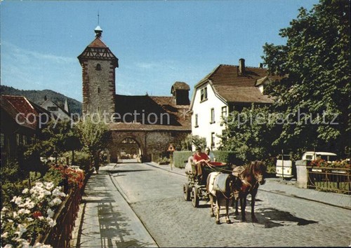 Zell harmersbach pony - zell, pony-gespann