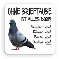 Kühlschrankmagnet ohne - kühlschrankmagnet, "ohne