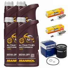 Öl Inspektion Set 4L