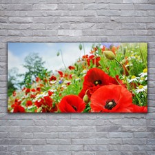 Glasbilder Wandbild Druck auf