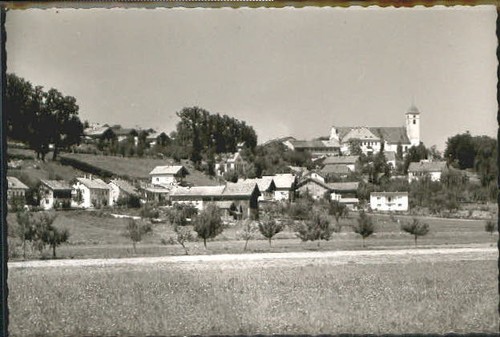 Rott inn - rott,