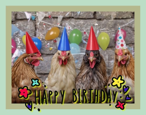 Happy birthday fun huhn - birthday,