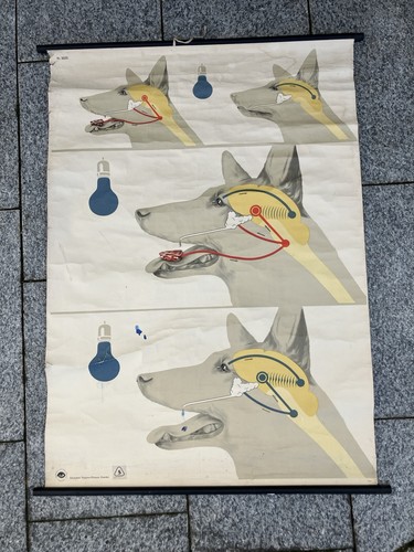 Alte rollkarte wandbild - alte,