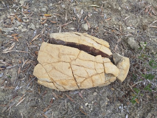 Annunaki relikt mit - relikt, einschluss