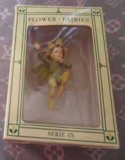 Flower Fairies Collection