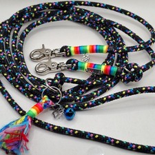 Hundeleine für kleine Hunde 3