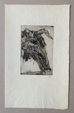 Horst Janssen Knochen eines