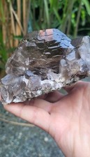 Gwindel alpines rauchquarz - ,