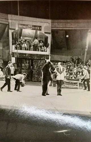 Zirkus gastspiel leipzig - zirkus,