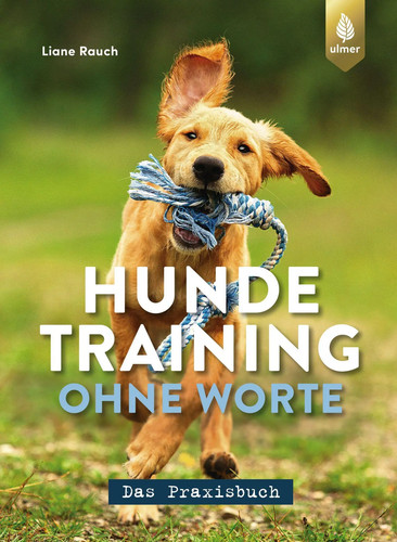 Hundetraining ohne worte - hundetraining,
