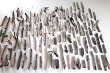 Schwemmholz Treibholz  100