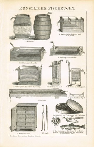 Tafel fischzucht - tafel, /