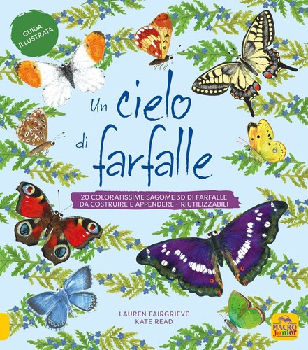 Buch fairgrieve lauren - buch,