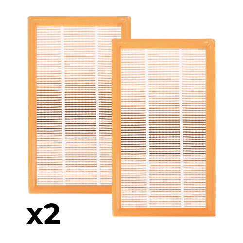 Flachfilter passend für - 2x,