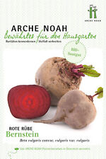 Arche Noah 6698 Rote Rübe Bernstein (Bio-Rübensamen)