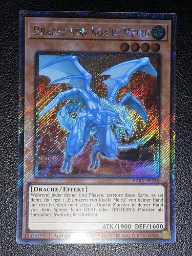 Drache von koa - drache,