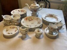 Geschirr Rosenthal Maria Sommerstrauss 28 Tlg