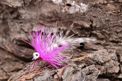 Seatrout polar magnus pink - seatrout,