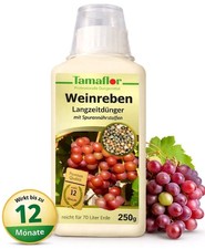 Dünger Weintrauben  Reben