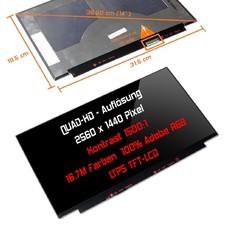 QLED Display 14,0" 2560x1440