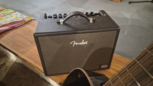 Fender acoustic go - acoustic,