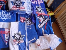 Eishockey EC Kassel Huskies Fan Schals Konvolut