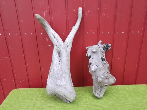 Schwemmholz treibholz skulptur - treibholz,